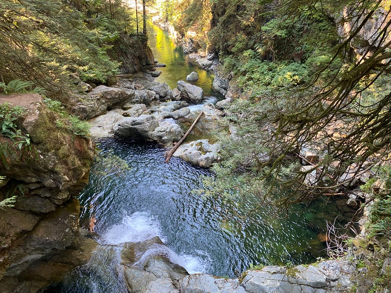 A serene river pool surrounded by nature