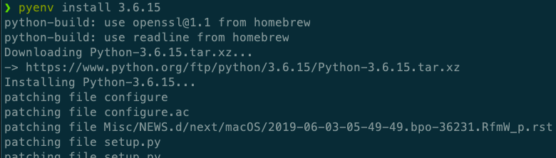 Successful installation of Python version