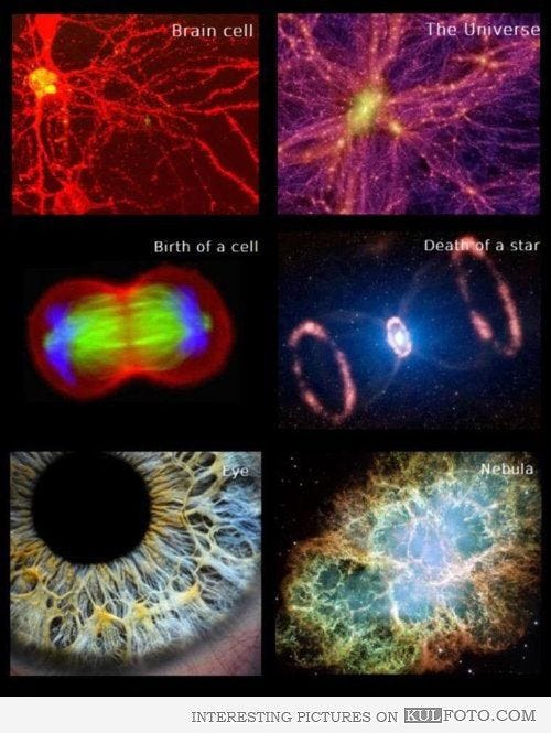 Micro and macro structures showing interconnectedness