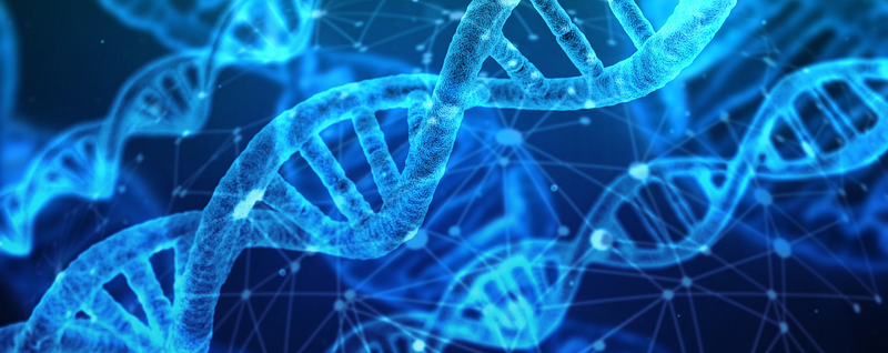 Viral replication process within an infected cell