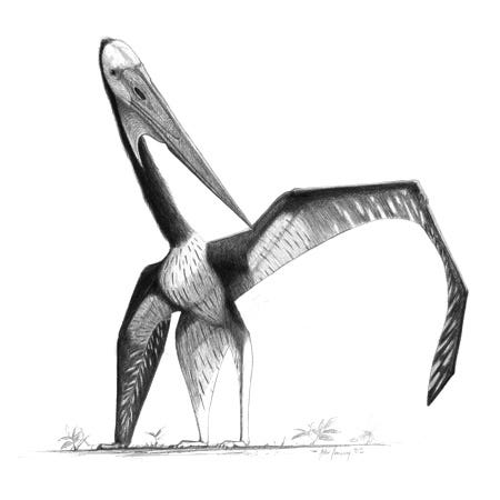 Azhdarchid pterosaur reconstruction.