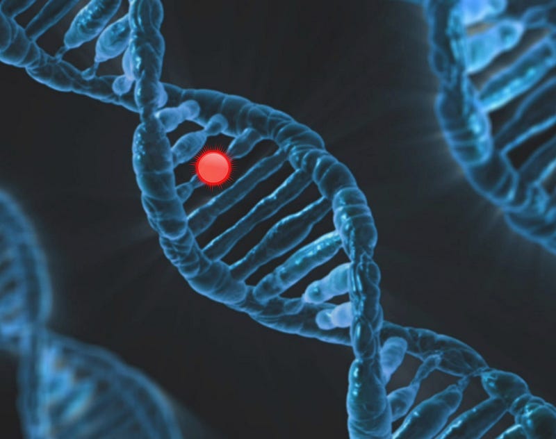 Understanding Gene Expression Through Beliefs