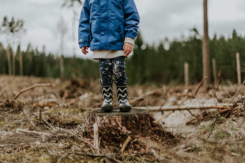 Children exploring nature