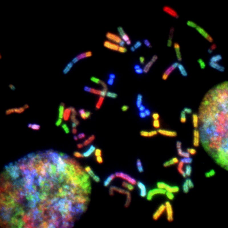 Quantum mechanics and DNA interactions