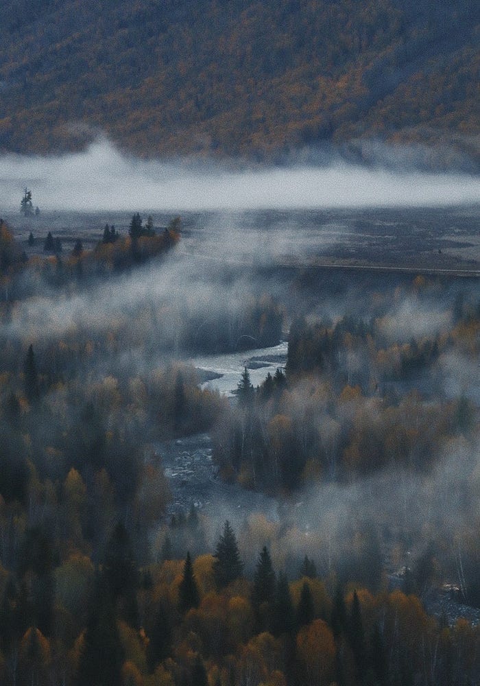 Foggy sunrise reflecting uncertainty and allure