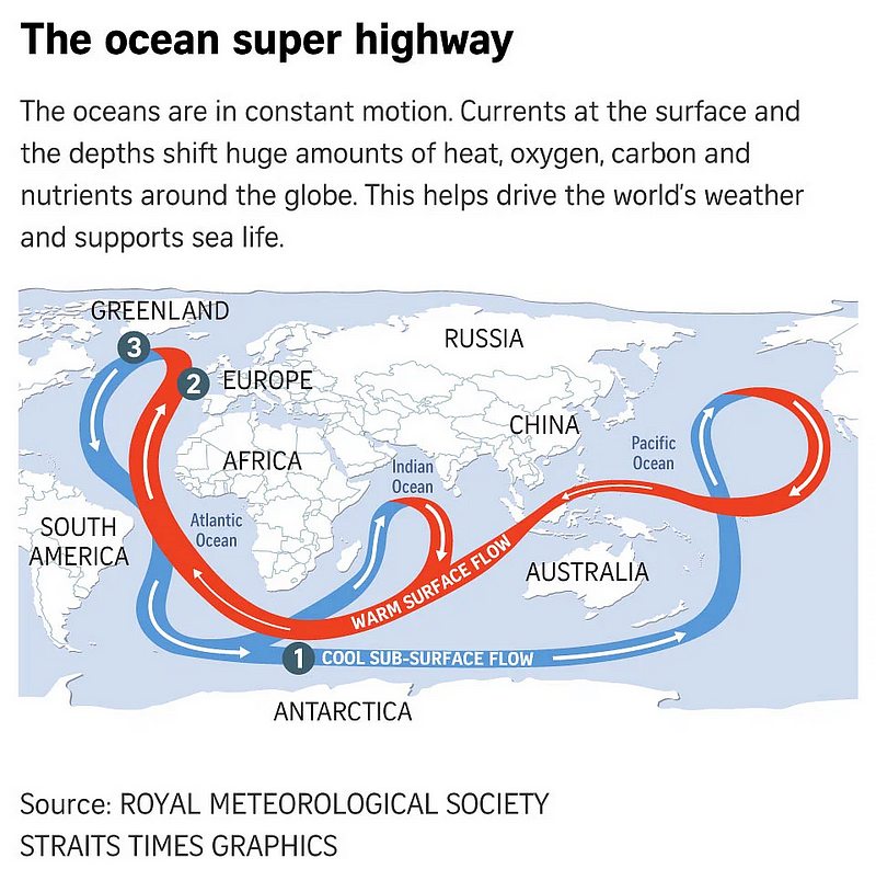 The Antarctic overturning circulation is crucial for global climate.