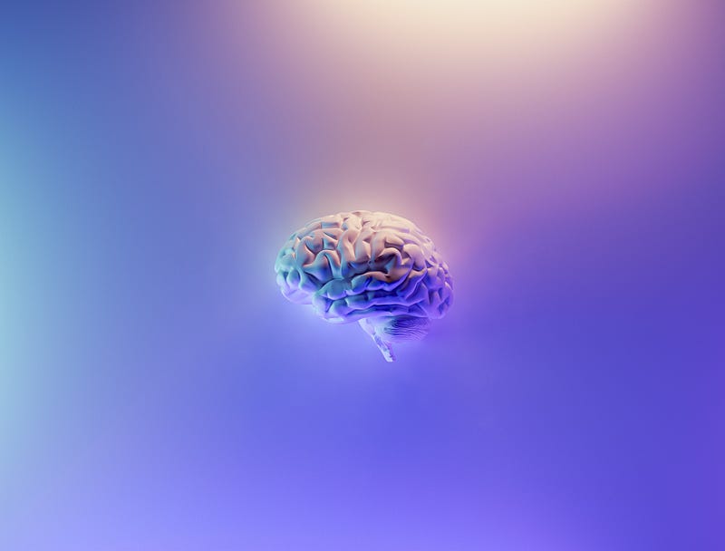 Brain structure and its impact on consciousness