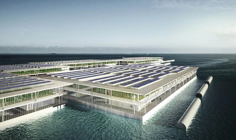 Floating farms on urban waterways