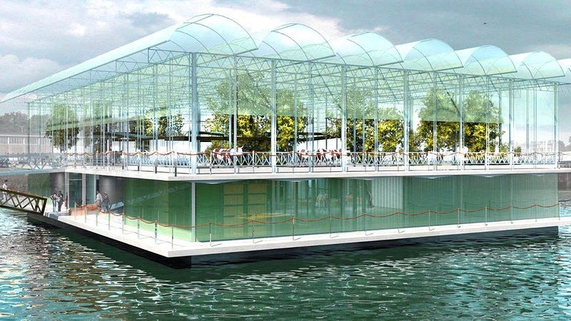 Diverse crops grown on floating farms