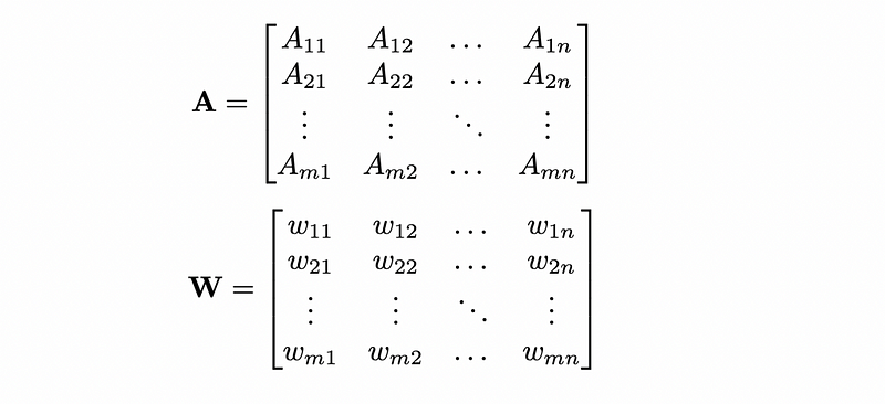 Matrix indicating neuron connectivity