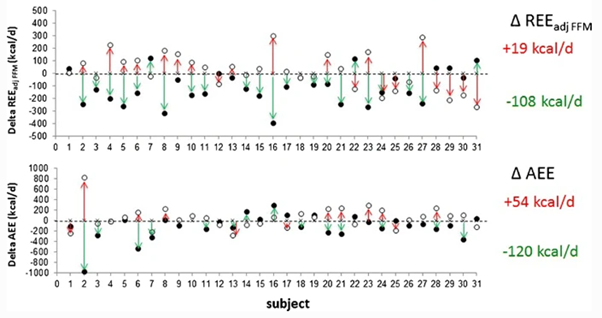 Variation in Resting Energy Expenditure after food intake changes