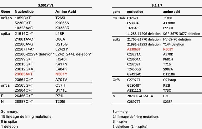 Comparative Analysis of N501Y Strains