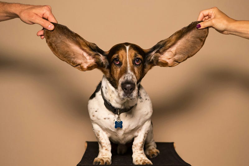 Engaged manager listening to team member